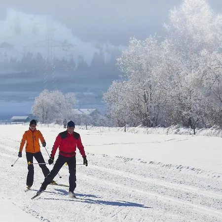 Hébergement de vacances Detached Holiday With 4 Bedrooms In Muhlbach, Near The Ski Lift.